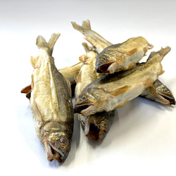 ヒューマングレードのペットのおやつ　Smoked Sweetfish ［鮎の燻製］ 2枚目の画像