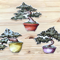 Bonsai Sticker Set 盆栽シールセット 1枚目の画像