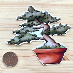 Bonsai Sticker Set 盆栽シールセット 3枚目の画像