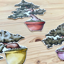 Bonsai Sticker Set 盆栽シールセット 2枚目の画像