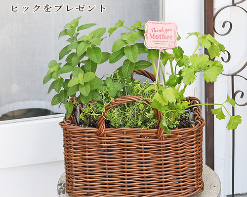 bfd311fb68e69b9ba572b8a2d373c5