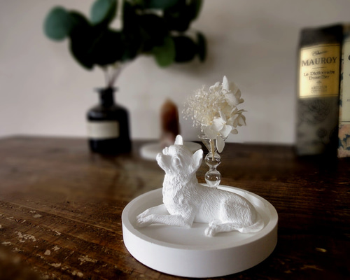 WELCOME&ドルフィン&ホヌ　アロマストーン WELCOME&ドルフィン&ホヌアロマストーン