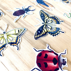 Insect Sticker Set (11 piece) - 虫のシールセット(11枚） 2枚目の画像