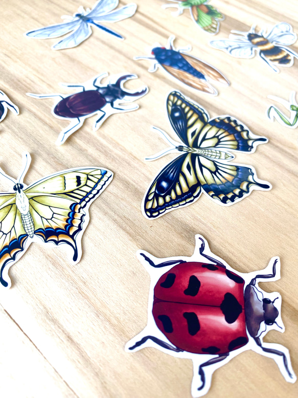 Insect Sticker Set (11 piece) - 虫のシールセット(11枚） 2枚目の画像