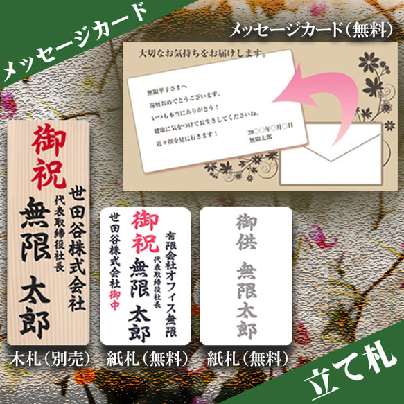 胡蝶蘭 ミディ 中輪 2本立ち 18輪以上 母の日 ギフト プレゼント お祝い 生花 フラワー 開店 開業 祝 御祝 12枚目の画像