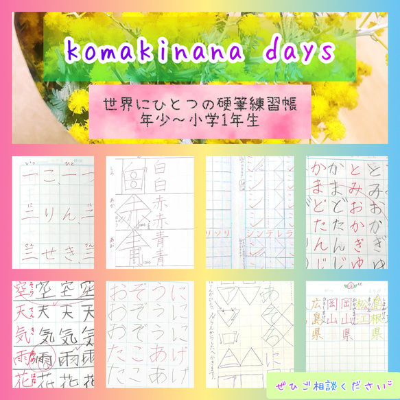 小学1年生　参考書　まとめ売り　22冊 小学1年生 参考書 まとめ売り 22冊 （文理の『完全攻略