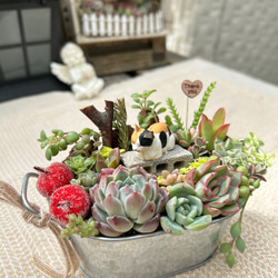 専用【復活*樽猫】そのまま飾れる多肉植物の寄せ植え*釣り猫*新樽猫バージョン a78442c821f0595315921feb1f433e
