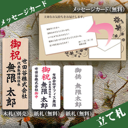 胡蝶蘭 大輪 3本立ち 35輪以上 母の日 ギフト プレゼント お祝い 生花 フラワー 開店 開業 祝 御祝 9枚目の画像