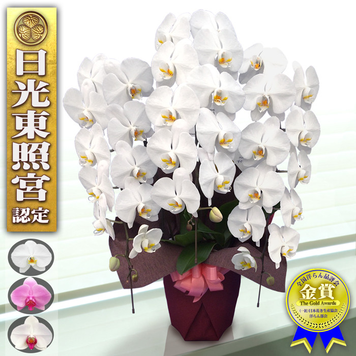 へっぽこ先生 四次元 原宿 お花レース遣い 透け感前開きブラウス へっぽこ先生 四次元 原宿 お花レース遣い 透け感前開きブラウス