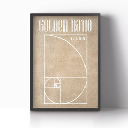 アートポスター/  Golden ratio No.2　おしゃれインテリア・北欧、モノトーン好きの方に☆ 6枚目の画像