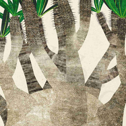 アートポスター/  Pachypodium No.2　おしゃれインテリア・北欧、モノトーン好きの方に☆ 5枚目の画像