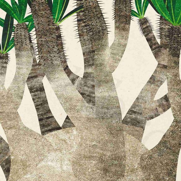 アートポスター/  Pachypodium No.2　おしゃれインテリア・北欧、モノトーン好きの方に☆ 5枚目の画像