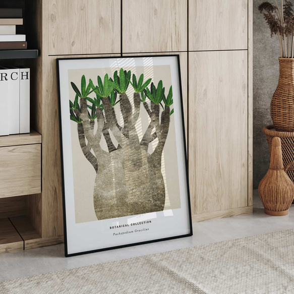 アートポスター/  Pachypodium No.2　おしゃれインテリア・北欧、モノトーン好きの方に☆ 2枚目の画像