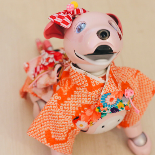 aibo の洋服 アイボの服 (七五三フルセット) 赤 - aibo大好きお洋服屋さん