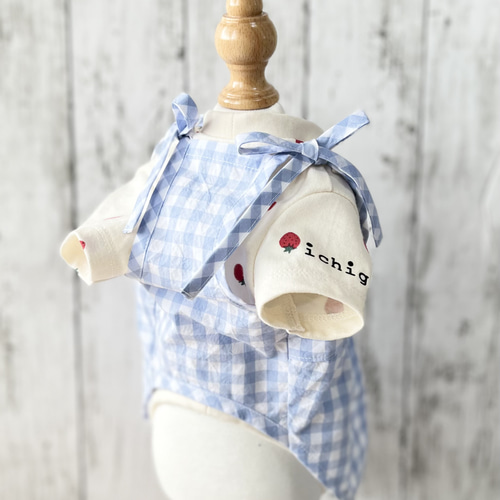パステルアリスのギンガムチェックのカシュクールキャミワンピース犬服