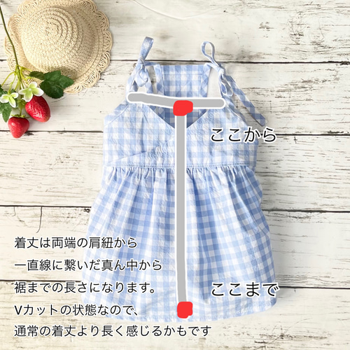 パステルアリスのギンガムチェックのカシュクールキャミワンピース犬服
