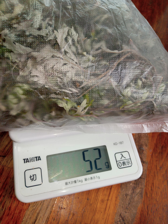 乾燥　無農薬　よもぎ　春の新芽　天日干し　50g 1枚目の画像