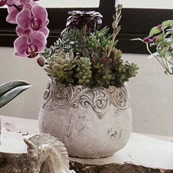 《可愛いアンティーク セメント鉢 》アラベスクブランベーシック 観葉植物 多肉植物 お花の寄せ植えに 211 2枚目の画像