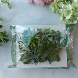 「特集掲載」多肉植物　フェイクグリーン　卓上　フレーム　オリーブ　グリーン  インテリア　プレゼント 11枚目の画像