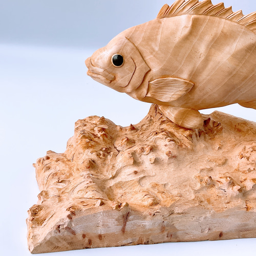 魚(イシダイ)の置物 栃のチジミ杢 彫刻アート・木工 受注生産 魚(イシダイ)の置物 栃のチジミ杢 彫刻アート・木工 受注生産