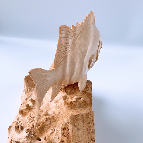 魚（イシダイ）の置物 栃のチジミ杢 彫刻アート・木工 受注生産商品