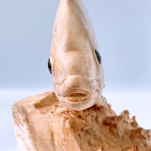 魚（イシダイ）の置物 栃のチジミ杢 彫刻アート・木工 受注生産