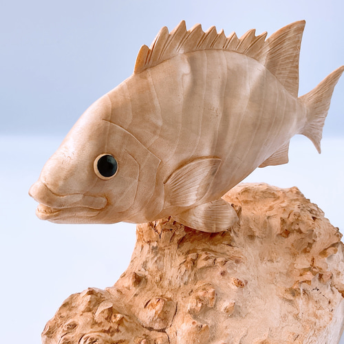 リアル真鯛の造形 / 魚 さかな フィッシュ 釣り 海 うみ タイ