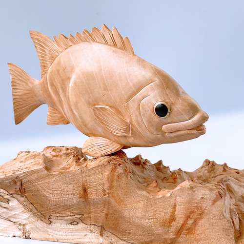 魚（イシダイ）の置物 栃のチジミ杢 彫刻アート・木工 受注生産