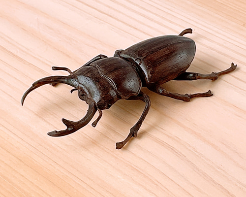 e9d6a31e2ecdf393cfc15a7fc62726