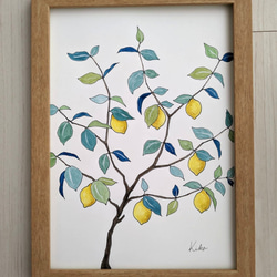 A4サイズ　水彩原画 レモンの木 3枚目の画像