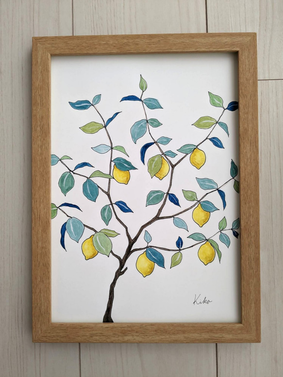 A4サイズ　水彩原画 レモンの木 3枚目の画像