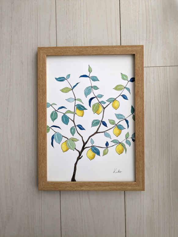A4サイズ　水彩原画 レモンの木 4枚目の画像