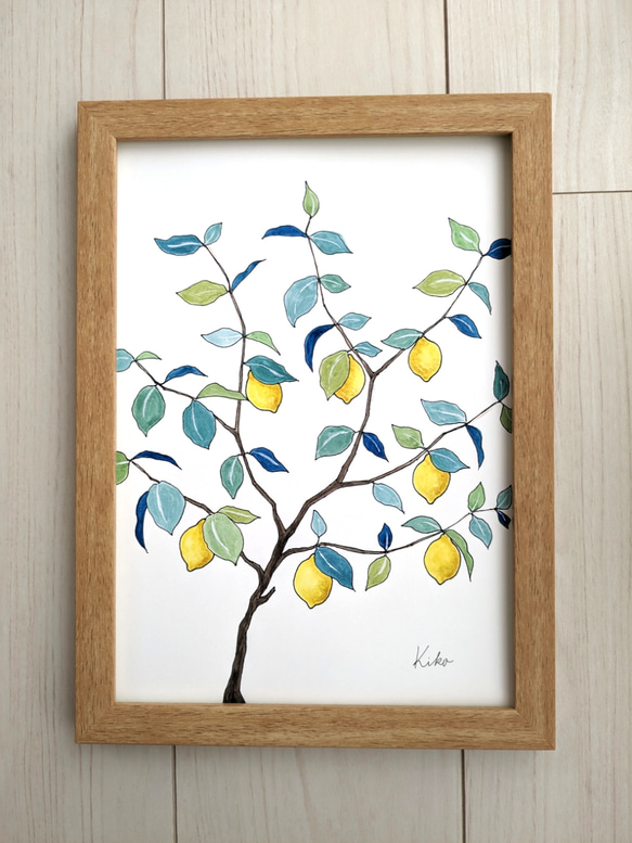 A4サイズ　水彩原画 レモンの木 1枚目の画像