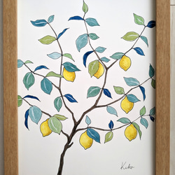 A4サイズ　水彩原画 レモンの木 5枚目の画像