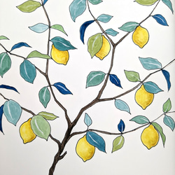 A4サイズ　水彩原画 レモンの木 2枚目の画像