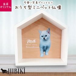おこりんぼうのハリネズミケージ L904545 ハウス・小屋 A.C.E