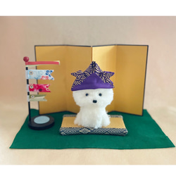 ビションの五月人形　　アフロカット（舌なし）　　　　　　　　兜　ビションフリーゼ  プードル  トイプードル　ボロニーズ 4枚目の画像