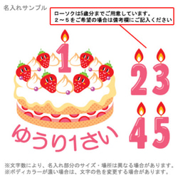 【メール便送料無料】名入れ スタイ【Birthday Cake】［bib-birth02］誕生日 出産祝い プレゼント 3枚目の画像
