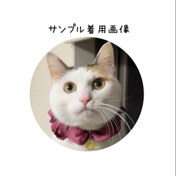 猫首輪　シュシュ首輪　【ワインレッド】オリジナルチャーム付き　猫首輪　エレガント首輪　ペット用品　猫雑貨 5枚目の画像