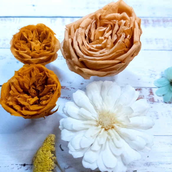 [送料無料]プリザの花箱✿Cream Citrus 花材セット 詰め合わせ プリザーブドフラワー ドライフラワー 3枚目の画像