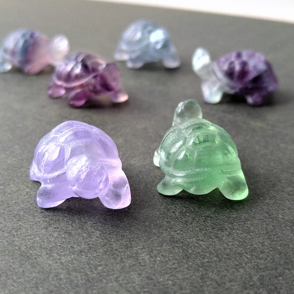 フローライト 笑口 亀 フローライト 笑口 亀