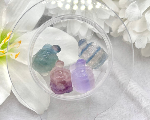 フローライト 笑口 亀 フローライト 笑口 亀