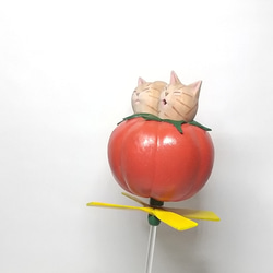 猫の未確認飛行物体(トマト) 6枚目の画像