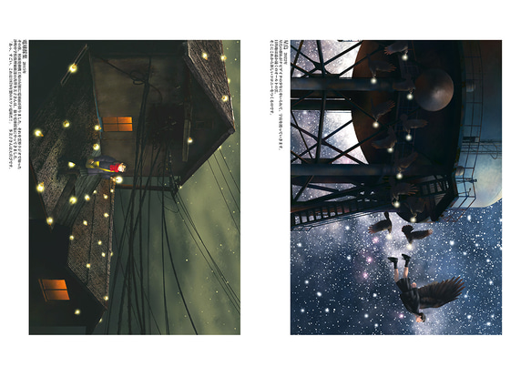 HOSHISUMUSATO／星澄む郷　図録 12枚目の画像