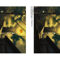 HOSHISUMUSATO／星澄む郷　図録 10枚目の画像