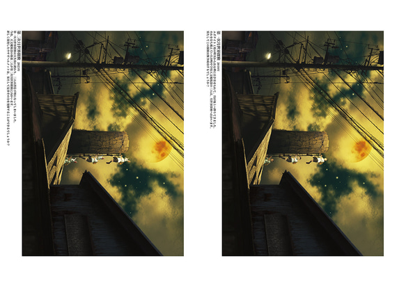 HOSHISUMUSATO／星澄む郷　図録 10枚目の画像