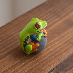 【訂做】石頭上的紅眼樹蛙 第5張的照片