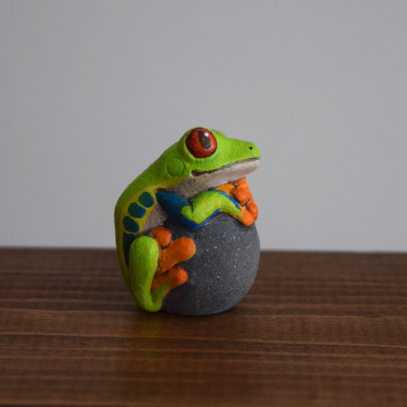 【訂做】石頭上的紅眼樹蛙 第8張的照片