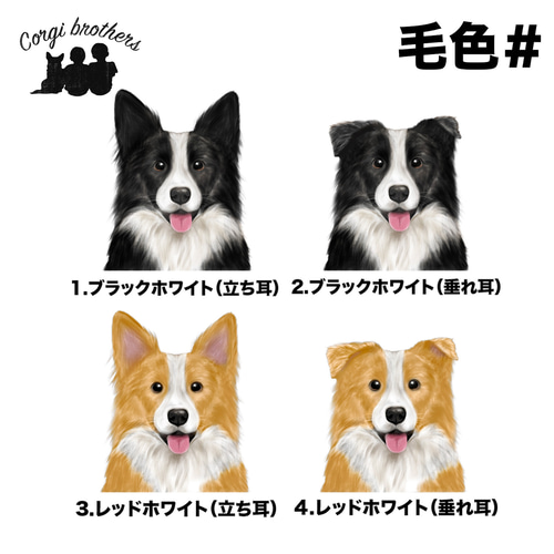 ボーダーコリー 水彩画風 毛色4色 】 ミニキャンバス トートバッグ 犬