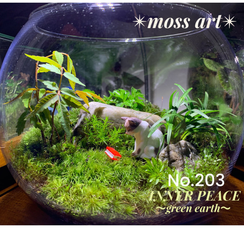 203 苔アート 苔テラリウム ねこ 猫 フィギュア 送料込み テラリウム